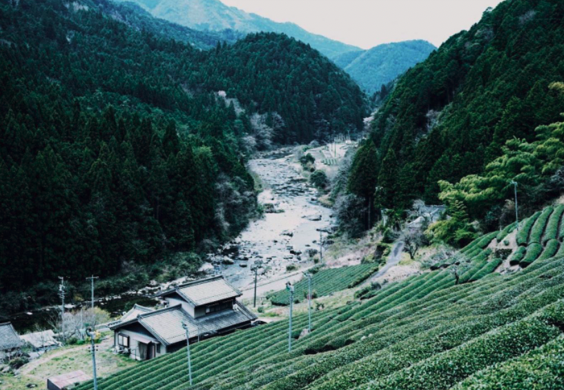 岐阜県東白川村